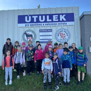 utulek-pro-zviratka-3-.jpg
