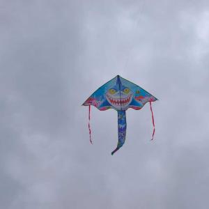 img-20251008-wa0047.jpg