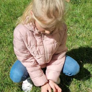 img-20260430-wa0010.jpg